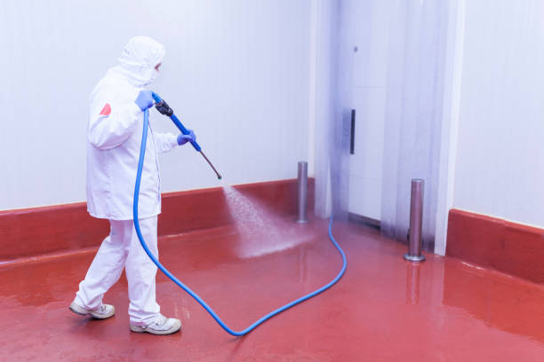 Trusted Utica, SC Pressure Washing Services Experts